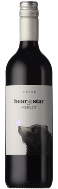 Bottle of bear & star Merlot wine on a white background