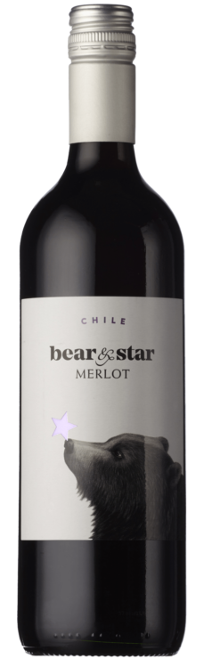 Bottle of bear & star Merlot wine on a white background