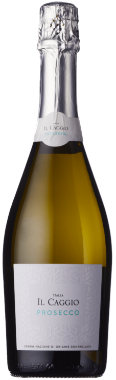 Bottle of Il Caggio Prosecco on a white background