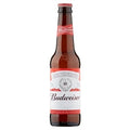 Budweiser beer bottle on a white background